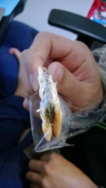 【六度本舖-綜合口味牛軋餅+手工糖】體驗徵文 - 第9張圖 【六度本舖-綜合口味牛軋餅+手工糖】體驗徵文