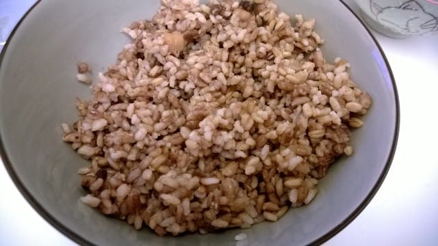 【耕本食源有機即食珍穀飯 + 原味恰恰- 菇菇素燥】體驗文 - 第4張圖 【耕本食源有機即食珍穀飯 + 原味恰恰- 菇菇素燥】體驗文