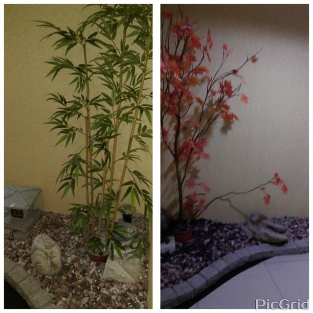 二寶(小卉)生產日記 第五天 轉月子中心 - 第5張圖 二寶(小卉)生產日記 第五天 轉月子中心