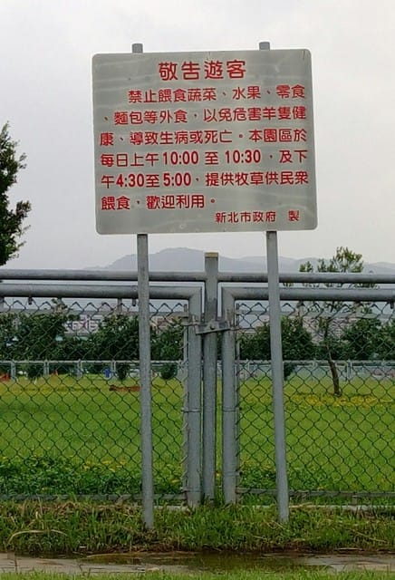 【親子日】浮洲橋下,浮洲河濱公園 騎車車&餵羊咩咩 - 第8張圖 【親子日】浮洲橋下,浮洲河濱公園 騎車車&餵羊咩咩