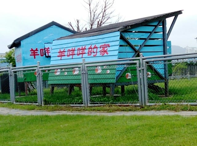 【親子日】浮洲橋下,浮洲河濱公園 騎車車&餵羊咩咩 - 第12張圖 【親子日】浮洲橋下,浮洲河濱公園 騎車車&餵羊咩咩