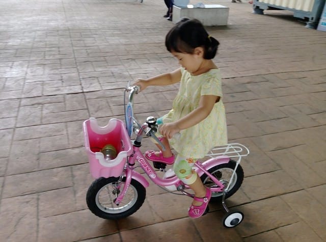 【親子日】浮洲橋下,浮洲河濱公園 騎車車&餵羊咩咩 - 第4張圖 【親子日】浮洲橋下,浮洲河濱公園 騎車車&餵羊咩咩