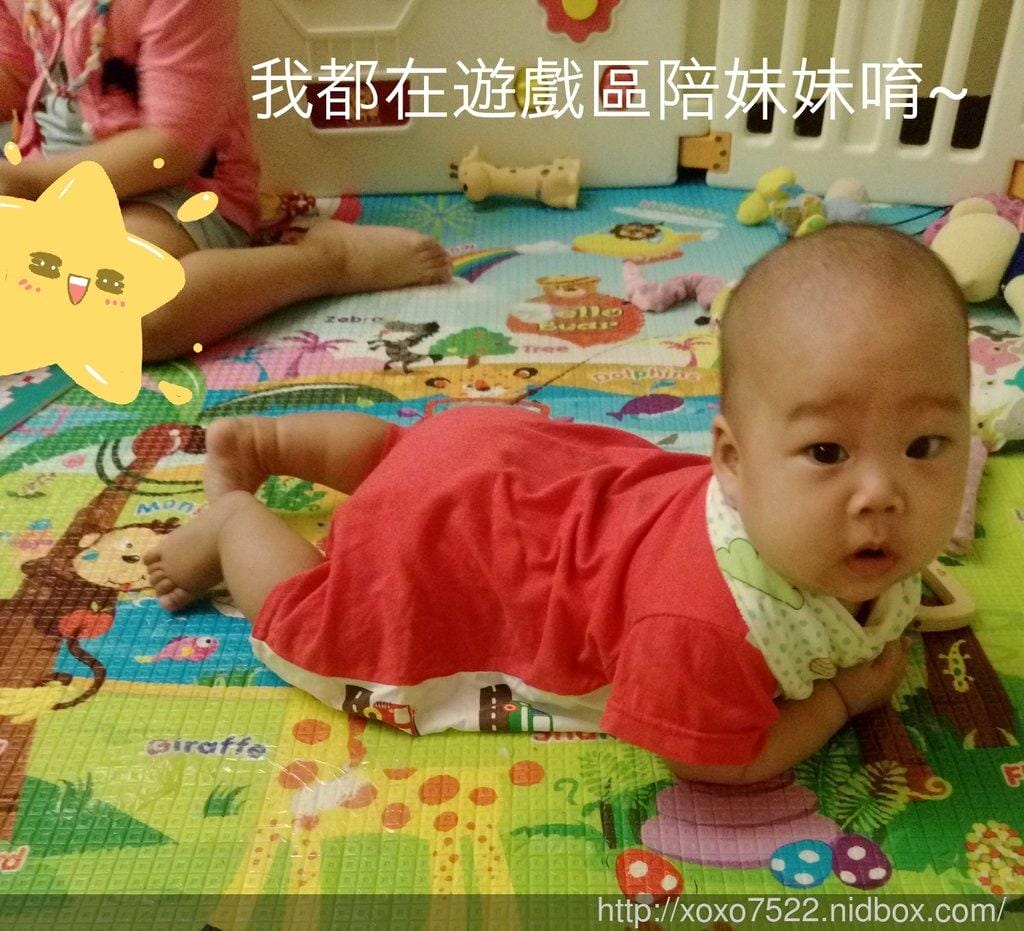 【開心遊戲區】小卉寶貝專屬遊戲區域 遊戲圍欄/地墊 - 第7張圖 【開心遊戲區】小卉寶貝專屬遊戲區域 遊戲圍欄/地墊