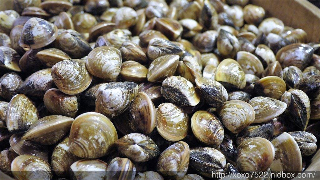 墾丁大街美食推薦【阿布拉瘋墾丁】新鮮蛤仔、起司雞、人體噴繪/飾品 ,等你來玩耍 - 第18張圖 墾丁大街美食推薦【阿布拉瘋墾丁】新鮮蛤仔、起司雞、人體噴繪/飾品 ,等你來玩耍