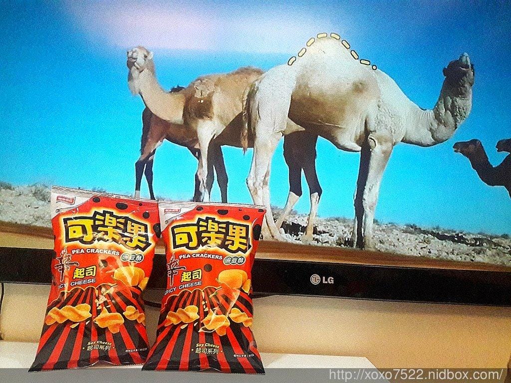 【零食】可樂果起司系列 辛起司口味 Say Cheese~雙重新口感,好吃停不住 - 第8張圖 【零食】可樂果起司系列 辛起司口味 Say Cheese~雙重新口感,好吃停不住