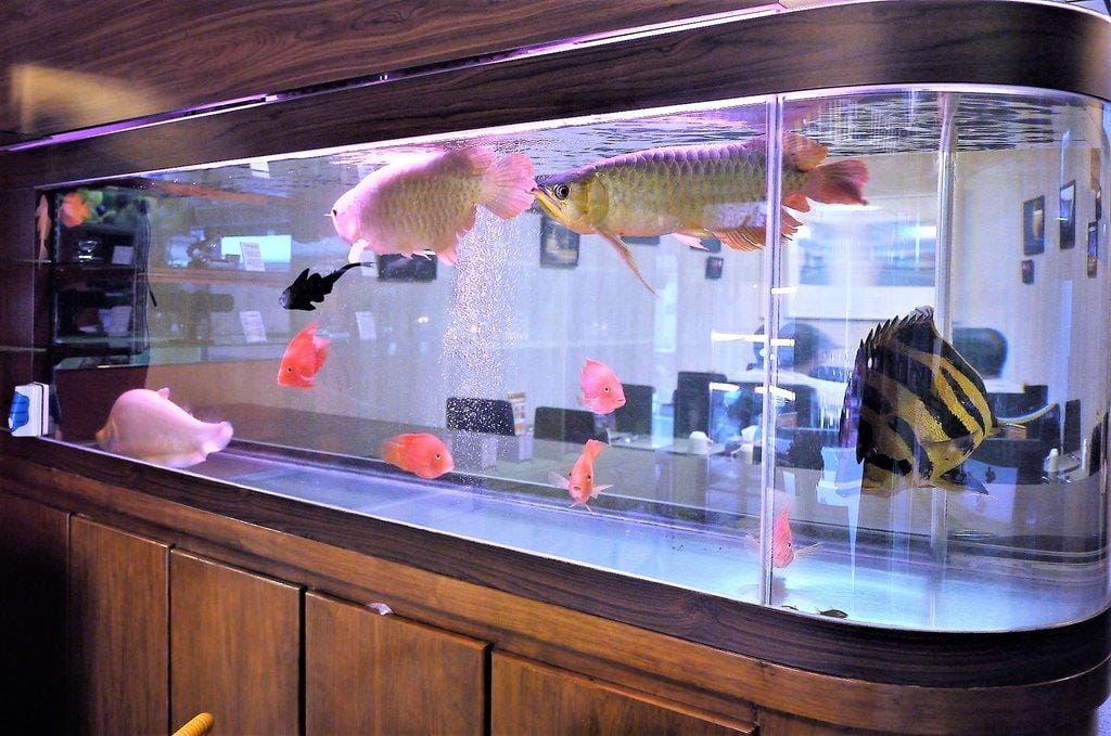 【養身蔬食】新北三重「昕圃活力自然餐館」創意蔬食料理/素食餐廳 - 第10張圖 【養身蔬食】新北三重「昕圃活力自然餐館」創意蔬食料理/素食餐廳