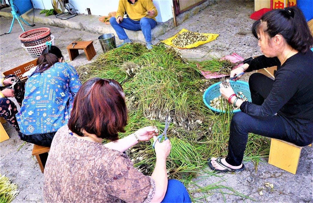 【宜蘭民宿】茶鄉園 南洋風情峇里島竹屋/ 座擁玉蘭茶園 / 太平山山腳下 - 第40張圖 【宜蘭民宿】茶鄉園 南洋風情峇里島竹屋/ 座擁玉蘭茶園 / 太平山山腳下