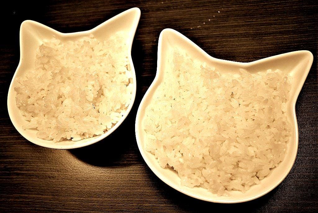 【新北中和美食】水貨 炭火烤魚技術,一魚兩吃,麻辣燙~挑戰你的視覺味覺新享受 - 第25張圖 【新北中和美食】水貨 炭火烤魚技術,一魚兩吃,麻辣燙~挑戰你的視覺味覺新享受