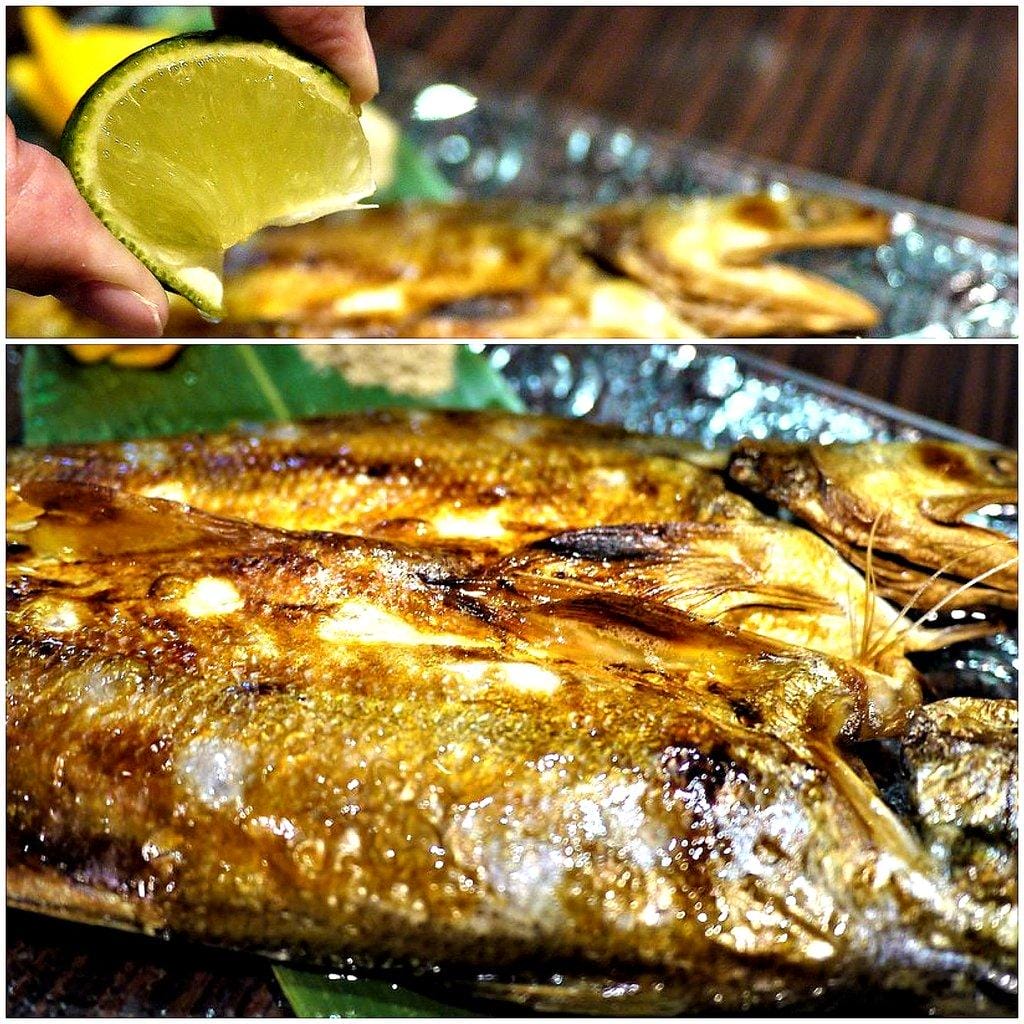 【中和 /居酒屋】 元氣の老爹居食酒場,大推海大蝦毛毛蟲,平價日式料理推薦 - 第36張圖 【中和 /居酒屋】 元氣の老爹居食酒場,大推海大蝦毛毛蟲,平價日式料理推薦