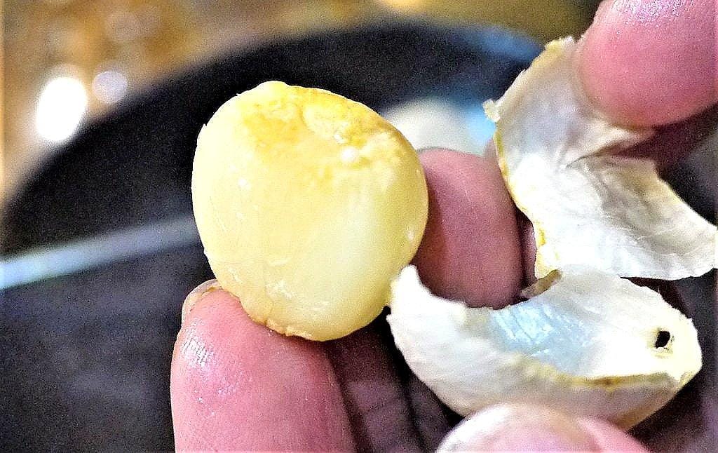 【台中西區 串燒 】 爵 旋轉串燒 燒烤 ,自動旋轉烤爐 好玩又有趣 , 台中僅此一家 - 第48張圖 【台中西區 串燒 】 爵 旋轉串燒 燒烤 ,自動旋轉烤爐 好玩又有趣 , 台中僅此一家