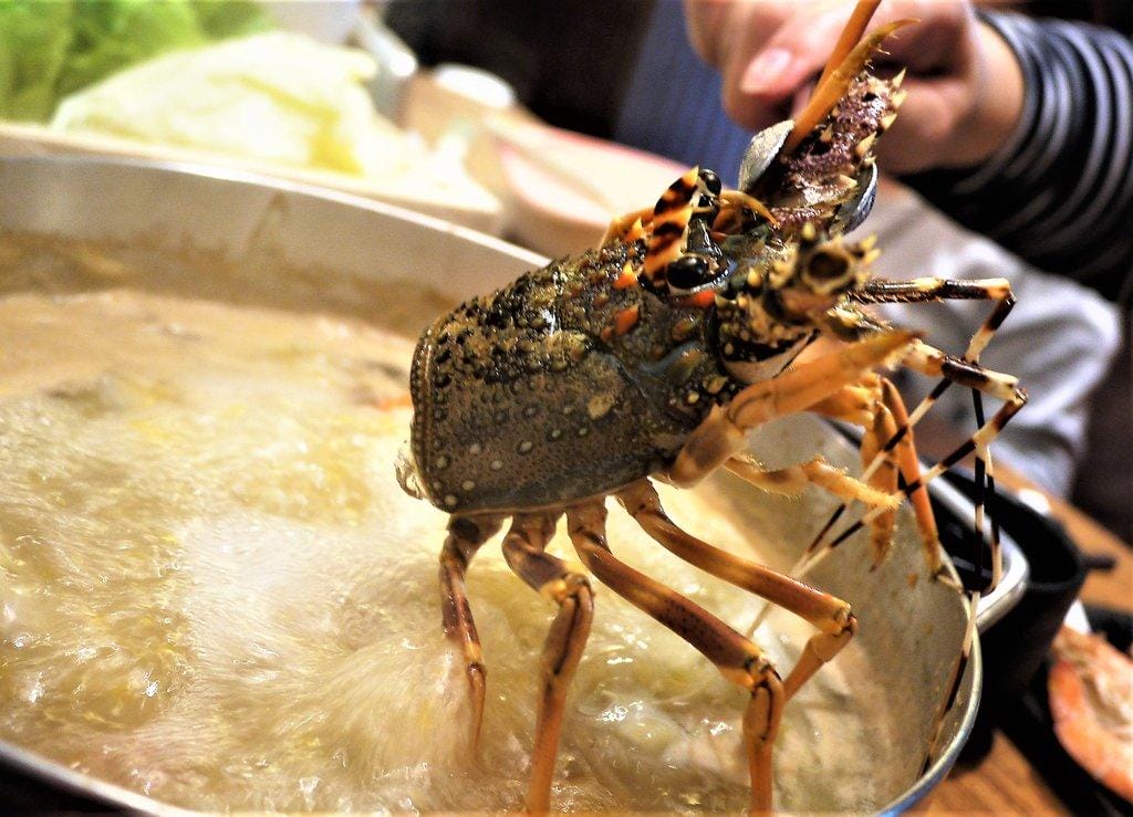 【平價頂級火鍋】婧Shabu ,婧火鍋(建國店),肉片海鮮吃到撐 / 高品質肉品 / 生食級海鮮,捷運松江南京站 - 第30張圖 【平價頂級火鍋】婧Shabu ,婧火鍋(建國店),肉片海鮮吃到撐 / 高品質肉品 / 生食級海鮮,捷運松江南京站