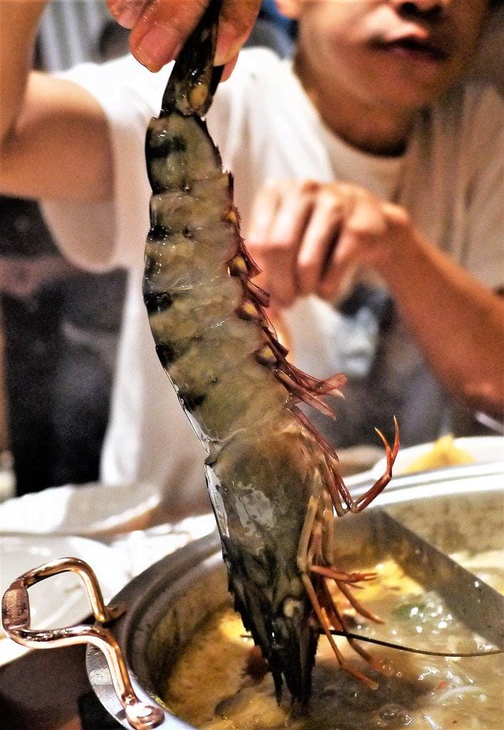 【新店火鍋】圍樂鮮境涮涮鍋,海陸夾攻一次滿足,深海巨型肥豬蝦,澎湖明蝦,阿根廷天使紅!! - 第32張圖 【新店火鍋】圍樂鮮境涮涮鍋,海陸夾攻一次滿足,深海巨型肥豬蝦,澎湖明蝦,阿根廷天使紅!!