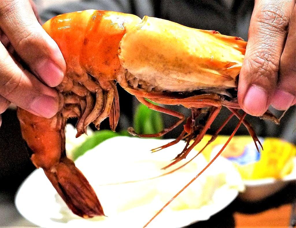 【新店火鍋】圍樂鮮境涮涮鍋,海陸夾攻一次滿足,深海巨型肥豬蝦,澎湖明蝦,阿根廷天使紅!! - 第33張圖 【新店火鍋】圍樂鮮境涮涮鍋,海陸夾攻一次滿足,深海巨型肥豬蝦,澎湖明蝦,阿根廷天使紅!!