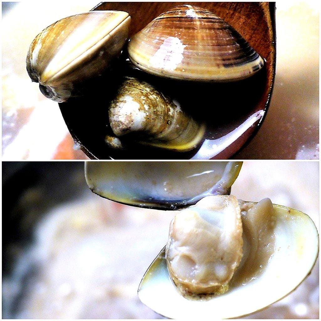 【三重/火鍋 京澤日式鍋物,大骨熬製乳白色湯底, 當日直送海鮮,優質肉品大滿足! - 第33張圖 【三重/火鍋 京澤日式鍋物,大骨熬製乳白色湯底, 當日直送海鮮,優質肉品大滿足!