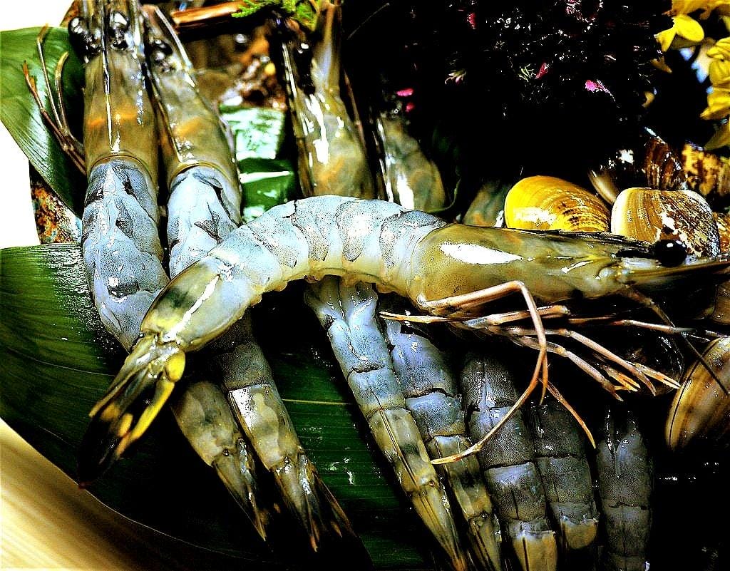 【三重/火鍋 京澤日式鍋物,大骨熬製乳白色湯底, 當日直送海鮮,優質肉品大滿足! - 第31張圖 【三重/火鍋 京澤日式鍋物,大骨熬製乳白色湯底, 當日直送海鮮,優質肉品大滿足!