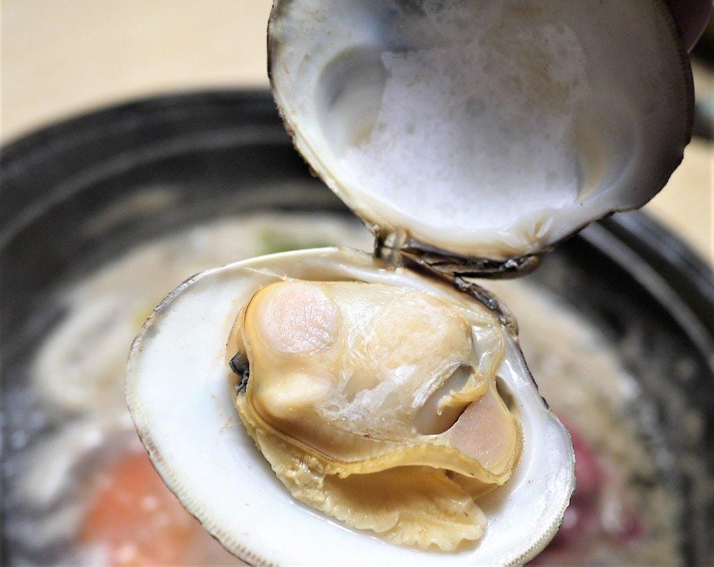 【三重/火鍋 京澤日式鍋物,大骨熬製乳白色湯底, 當日直送海鮮,優質肉品大滿足! - 第36張圖 【三重/火鍋 京澤日式鍋物,大骨熬製乳白色湯底, 當日直送海鮮,優質肉品大滿足!