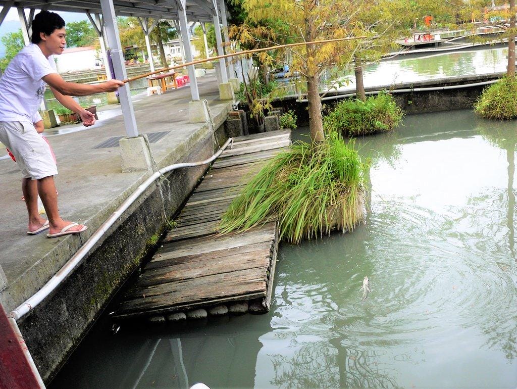 【宜蘭親子旅遊】勝洋水草休閒農場,DIY生態瓶.釣魚不限時 / 魚咬泡腳 - 第68張圖 【宜蘭親子旅遊】勝洋水草休閒農場,DIY生態瓶.釣魚不限時 / 魚咬泡腳