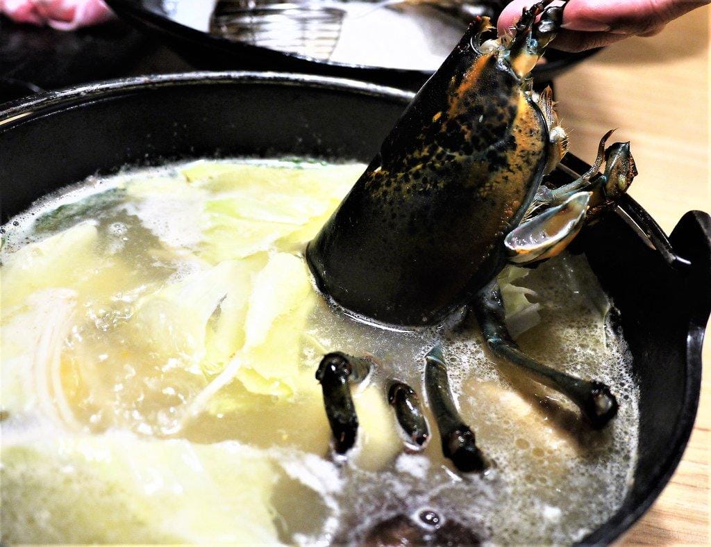 【板橋/火鍋】 鮮入圍煮-精緻鍋物,活波士頓龍蝦鍋,活沙公鍋~滿滿的頂級海鮮~文末有完整菜單 - 第34張圖 【板橋/火鍋】 鮮入圍煮-精緻鍋物,活波士頓龍蝦鍋,活沙公鍋~滿滿的頂級海鮮~文末有完整菜單