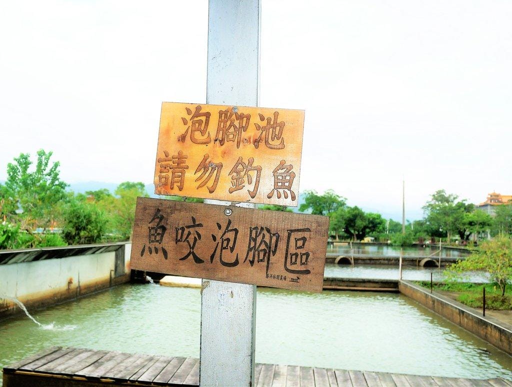 【宜蘭親子旅遊】勝洋水草休閒農場,DIY生態瓶.釣魚不限時 / 魚咬泡腳 - 第69張圖 【宜蘭親子旅遊】勝洋水草休閒農場,DIY生態瓶.釣魚不限時 / 魚咬泡腳