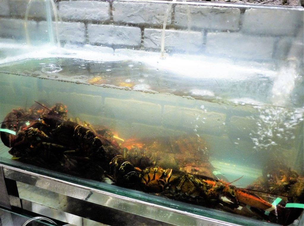 【板橋/火鍋】 鮮入圍煮-精緻鍋物,活波士頓龍蝦鍋,活沙公鍋~滿滿的頂級海鮮~文末有完整菜單 - 第13張圖 【板橋/火鍋】 鮮入圍煮-精緻鍋物,活波士頓龍蝦鍋,活沙公鍋~滿滿的頂級海鮮~文末有完整菜單