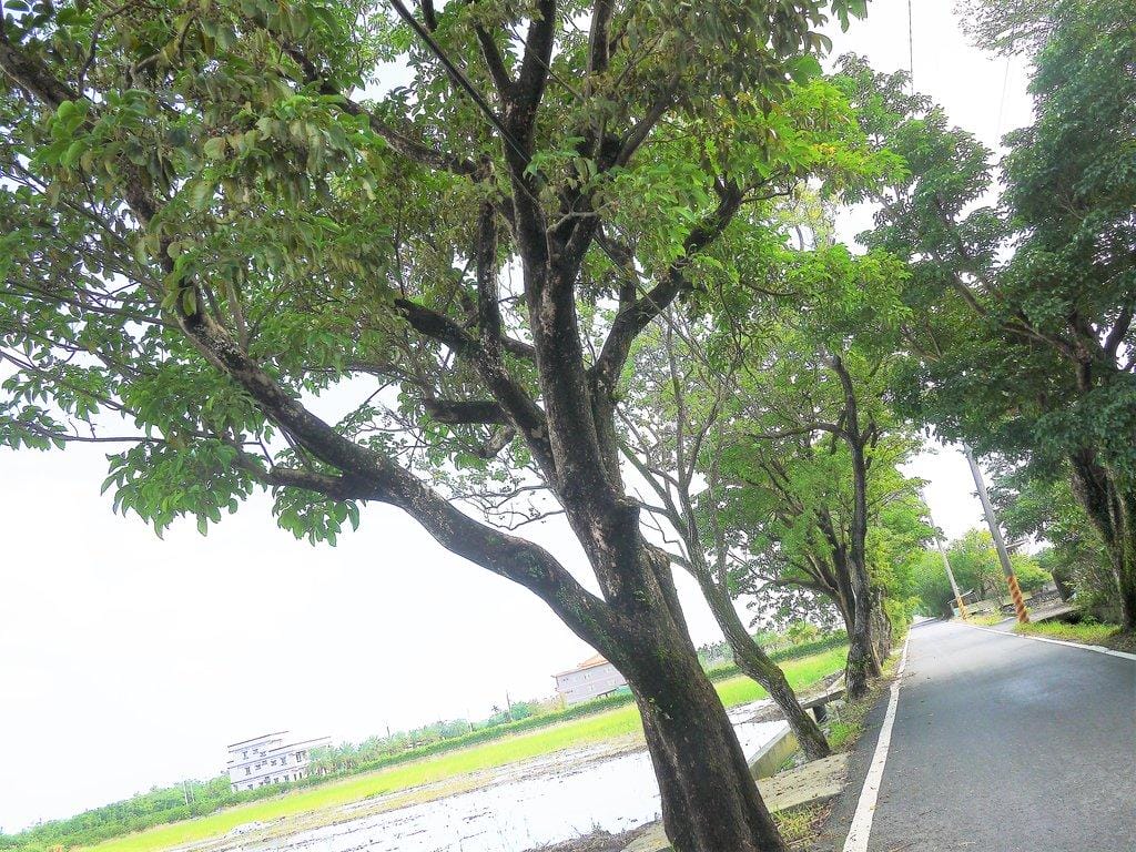 【宜蘭親子旅遊】勝洋水草休閒農場,DIY生態瓶.釣魚不限時 / 魚咬泡腳 - 第2張圖 【宜蘭親子旅遊】勝洋水草休閒農場,DIY生態瓶.釣魚不限時 / 魚咬泡腳