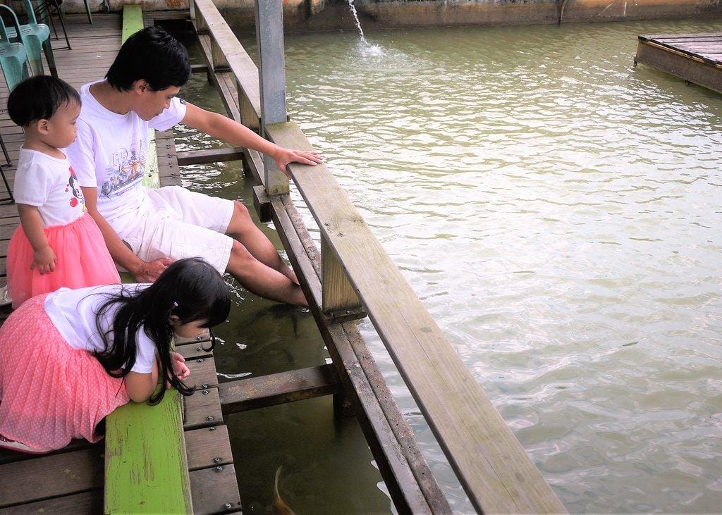 【宜蘭親子旅遊】勝洋水草休閒農場,DIY生態瓶.釣魚不限時 / 魚咬泡腳 - 第72張圖 【宜蘭親子旅遊】勝洋水草休閒農場,DIY生態瓶.釣魚不限時 / 魚咬泡腳
