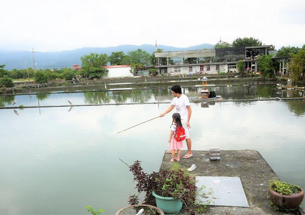【宜蘭親子旅遊】勝洋水草休閒農場,DIY生態瓶.釣魚不限時 / 魚咬泡腳 - 第64張圖 【宜蘭親子旅遊】勝洋水草休閒農場,DIY生態瓶.釣魚不限時 / 魚咬泡腳