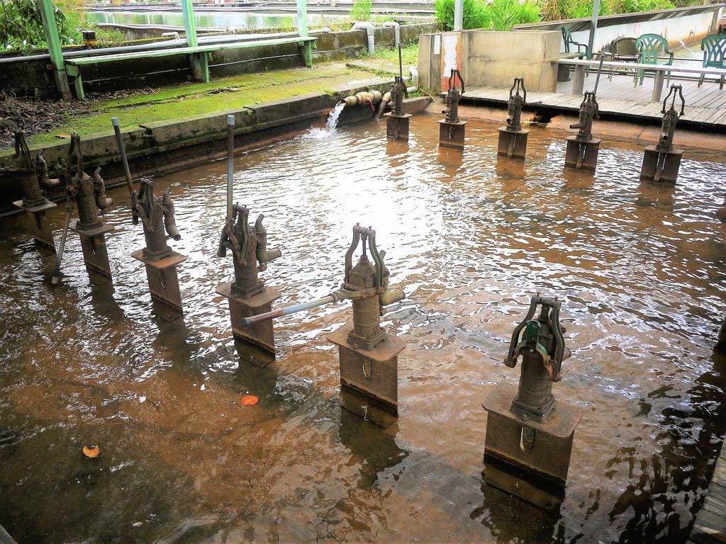 【宜蘭親子旅遊】勝洋水草休閒農場,DIY生態瓶.釣魚不限時 / 魚咬泡腳 - 第60張圖 【宜蘭親子旅遊】勝洋水草休閒農場,DIY生態瓶.釣魚不限時 / 魚咬泡腳
