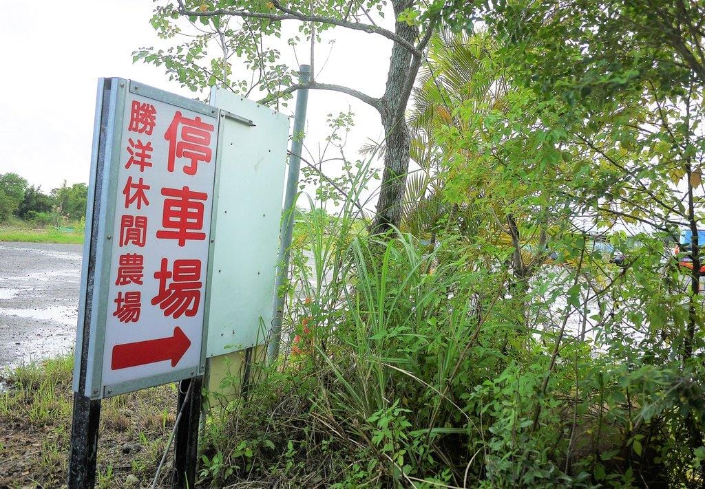 【宜蘭親子旅遊】勝洋水草休閒農場,DIY生態瓶.釣魚不限時 / 魚咬泡腳 - 第3張圖 【宜蘭親子旅遊】勝洋水草休閒農場,DIY生態瓶.釣魚不限時 / 魚咬泡腳