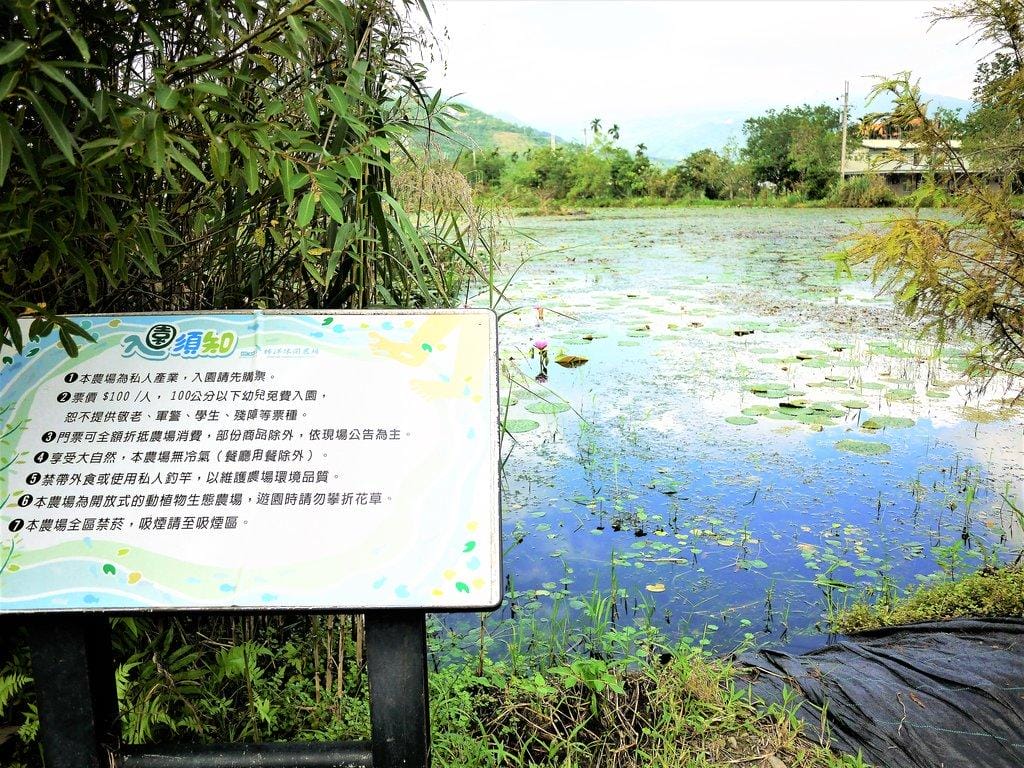 【宜蘭親子旅遊】勝洋水草休閒農場,DIY生態瓶.釣魚不限時 / 魚咬泡腳 - 第5張圖 【宜蘭親子旅遊】勝洋水草休閒農場,DIY生態瓶.釣魚不限時 / 魚咬泡腳
