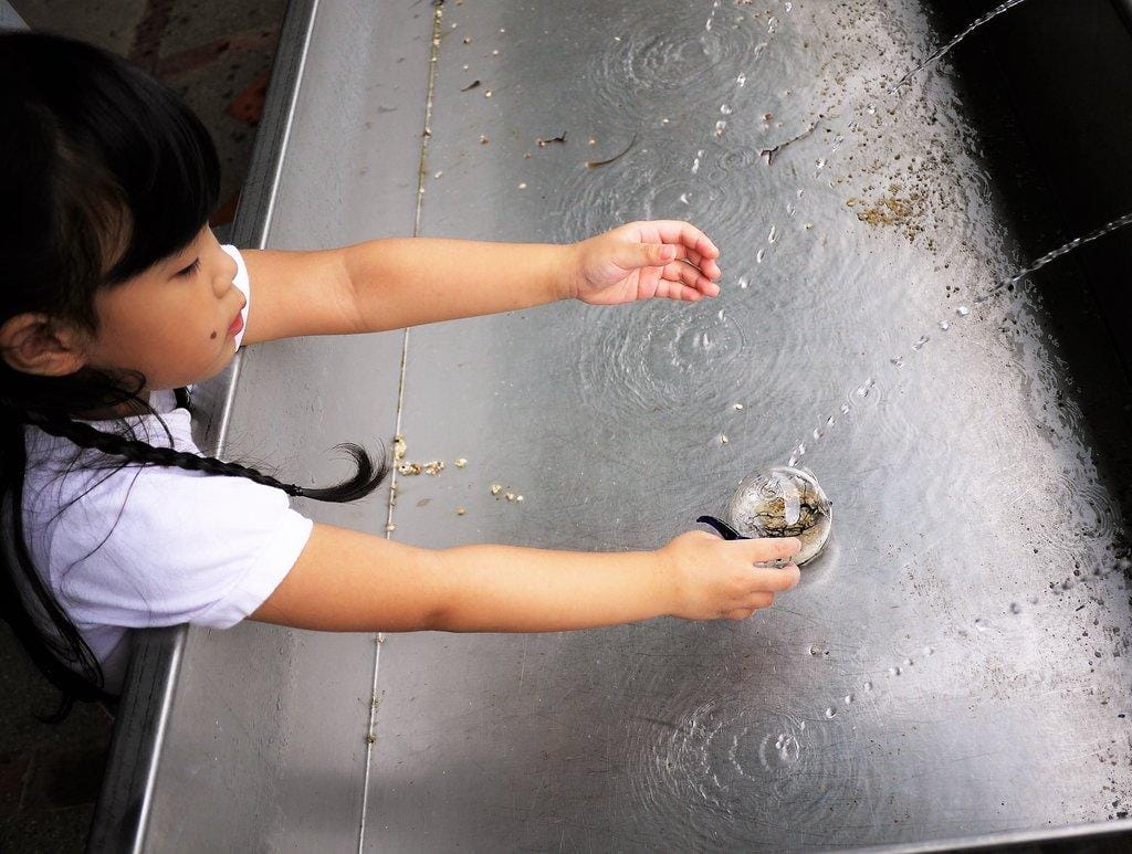 【宜蘭親子旅遊】勝洋水草休閒農場,DIY生態瓶.釣魚不限時 / 魚咬泡腳 - 第46張圖 【宜蘭親子旅遊】勝洋水草休閒農場,DIY生態瓶.釣魚不限時 / 魚咬泡腳