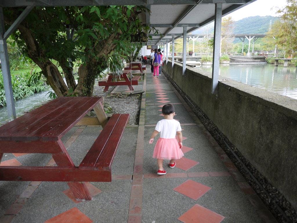 【宜蘭親子旅遊】勝洋水草休閒農場,DIY生態瓶.釣魚不限時 / 魚咬泡腳 - 第58張圖 【宜蘭親子旅遊】勝洋水草休閒農場,DIY生態瓶.釣魚不限時 / 魚咬泡腳