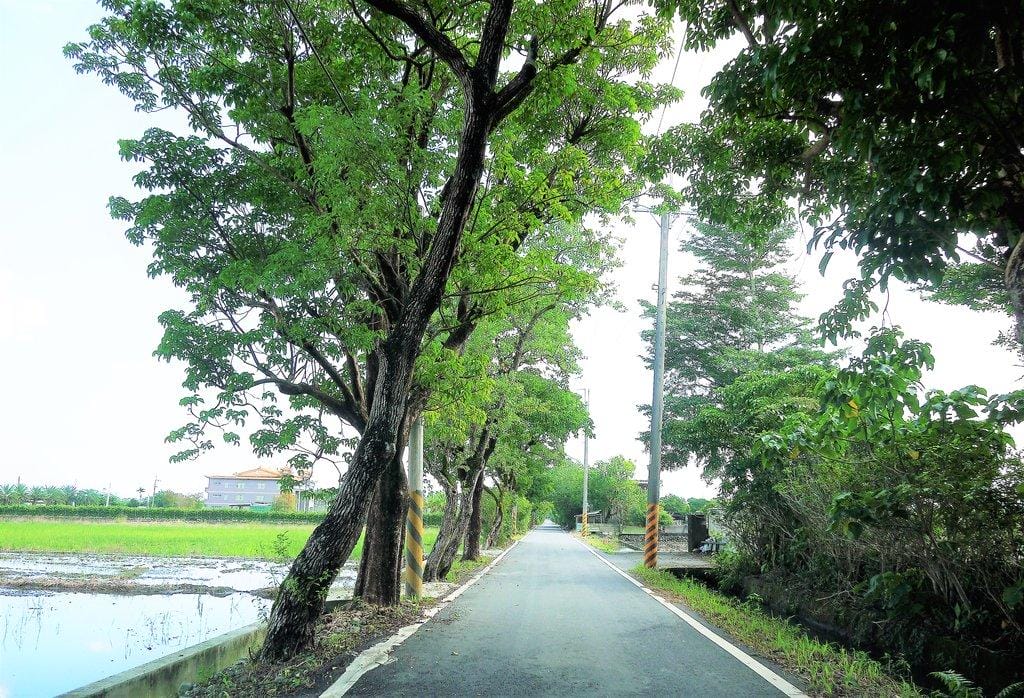 【宜蘭住宿】光與影spa民宿,充滿綠意的寬廣庭園,溫馨典雅房型 - 第64張圖 【宜蘭住宿】光與影spa民宿,充滿綠意的寬廣庭園,溫馨典雅房型