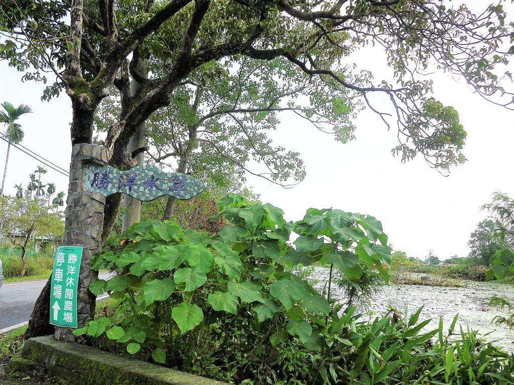 【宜蘭住宿】光與影spa民宿,充滿綠意的寬廣庭園,溫馨典雅房型 - 第66張圖 【宜蘭住宿】光與影spa民宿,充滿綠意的寬廣庭園,溫馨典雅房型