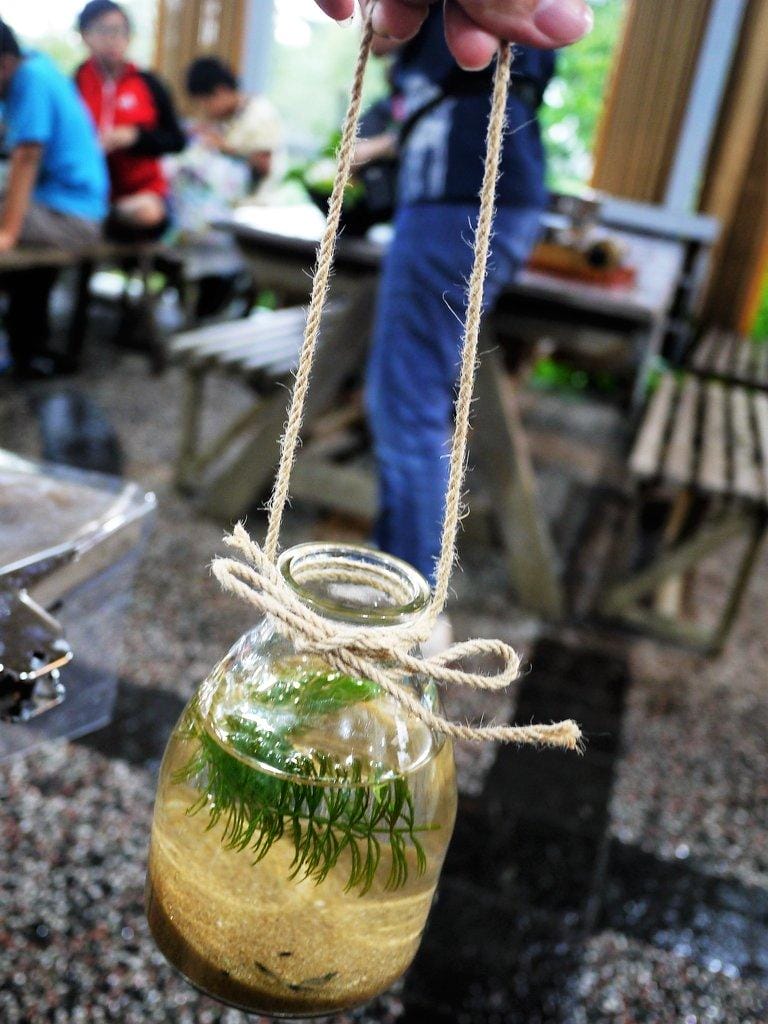 【親子DIY】宜蘭 花泉休閒農場,親子同遊樂趣多,自己手作麵條好好吃 ,DIY晶棗粽 / 生態瓶 - 第49張圖 【親子DIY】宜蘭 花泉休閒農場,親子同遊樂趣多,自己手作麵條好好吃 ,DIY晶棗粽 / 生態瓶