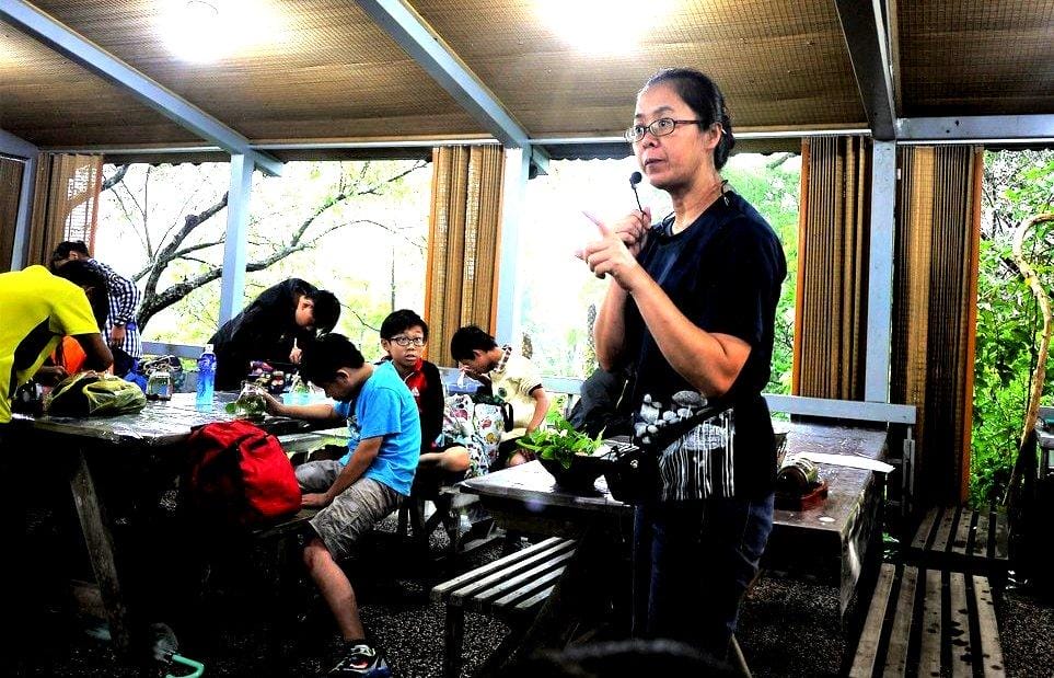 【親子DIY】宜蘭 花泉休閒農場,親子同遊樂趣多,自己手作麵條好好吃 ,DIY晶棗粽 / 生態瓶 - 第50張圖 【親子DIY】宜蘭 花泉休閒農場,親子同遊樂趣多,自己手作麵條好好吃 ,DIY晶棗粽 / 生態瓶