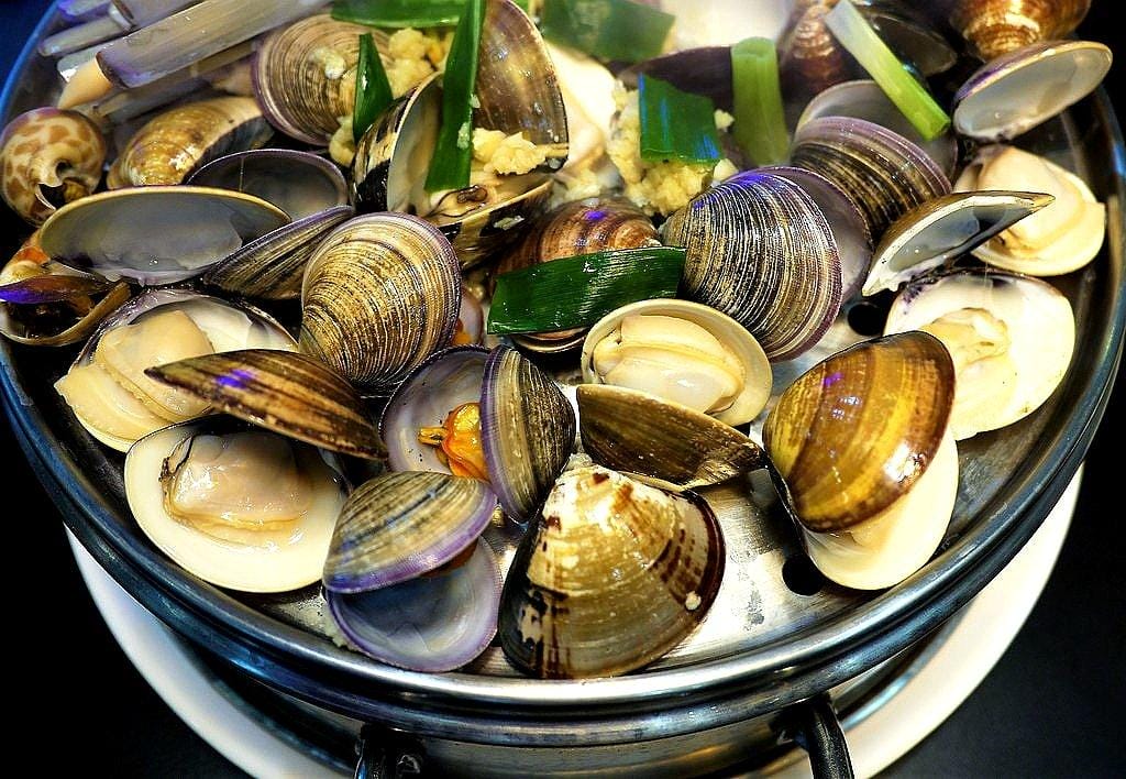 【中和火鍋】澎湖蒸鱻蒸氣火鍋 / 海鮮蒸籠塔 / 食材新鮮.一層又一層澎湃海鮮 - 第22張圖 【中和火鍋】澎湖蒸鱻蒸氣火鍋 / 海鮮蒸籠塔 / 食材新鮮.一層又一層澎湃海鮮