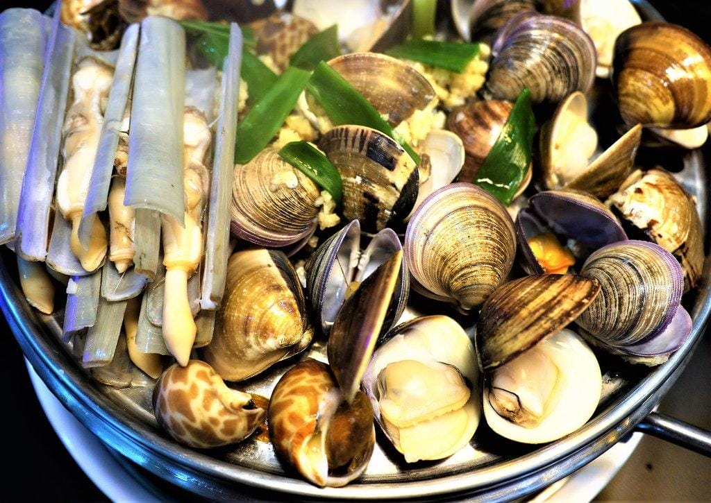 【中和火鍋】澎湖蒸鱻蒸氣火鍋 / 海鮮蒸籠塔 / 食材新鮮.一層又一層澎湃海鮮 - 第21張圖 【中和火鍋】澎湖蒸鱻蒸氣火鍋 / 海鮮蒸籠塔 / 食材新鮮.一層又一層澎湃海鮮