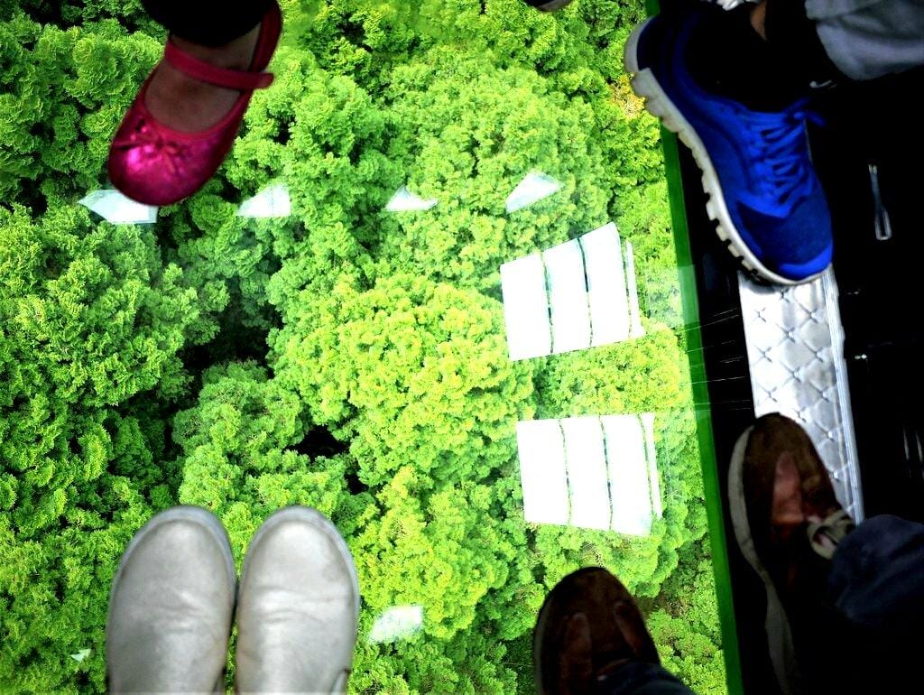 【南投景點 】九族文化村,透明纜車連結日月潭 / 浪漫粉紅櫻花季 / 水晶餐廳寬闊視野(文末影音) - 第14張圖 【南投景點 】九族文化村,透明纜車連結日月潭 / 浪漫粉紅櫻花季 / 水晶餐廳寬闊視野(文末影音)