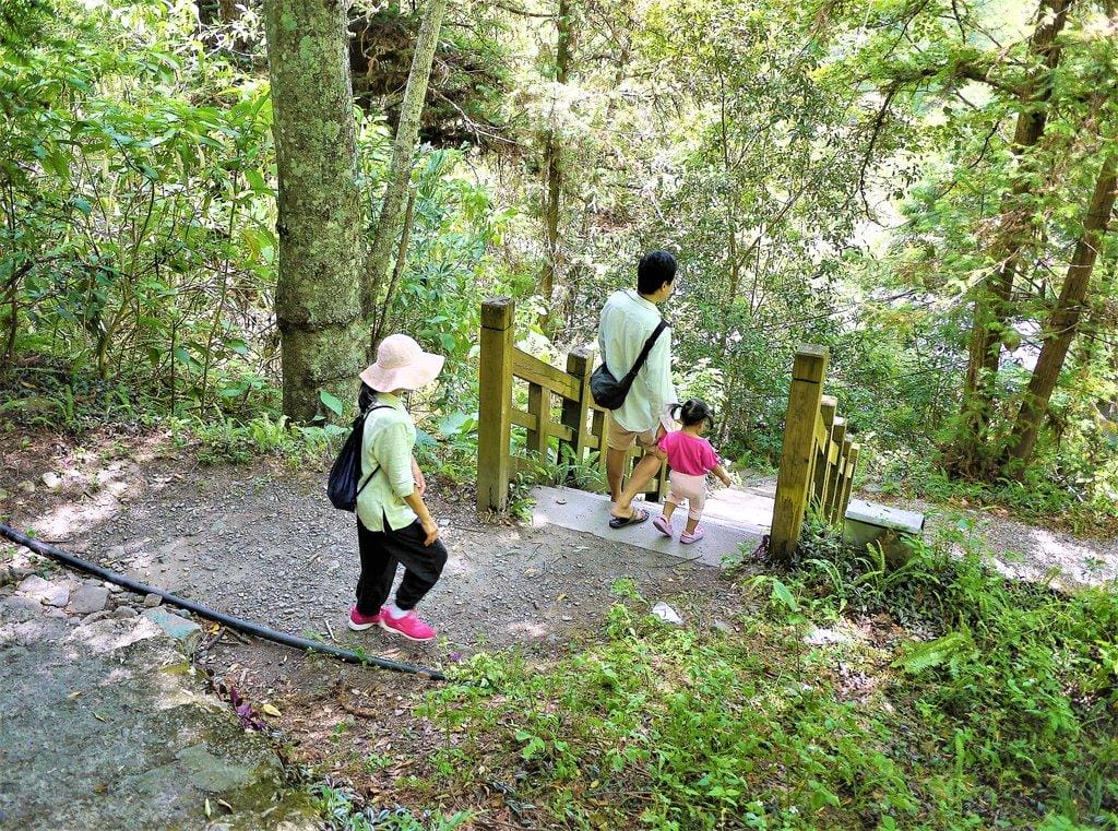 【谷關民宿】台中八仙山莊.一泊二食,渡假小木屋,呼吸自然芬多精 / 八仙國家森林遊樂區 - 第78張圖 【谷關民宿】台中八仙山莊.一泊二食,渡假小木屋,呼吸自然芬多精 / 八仙國家森林遊樂區