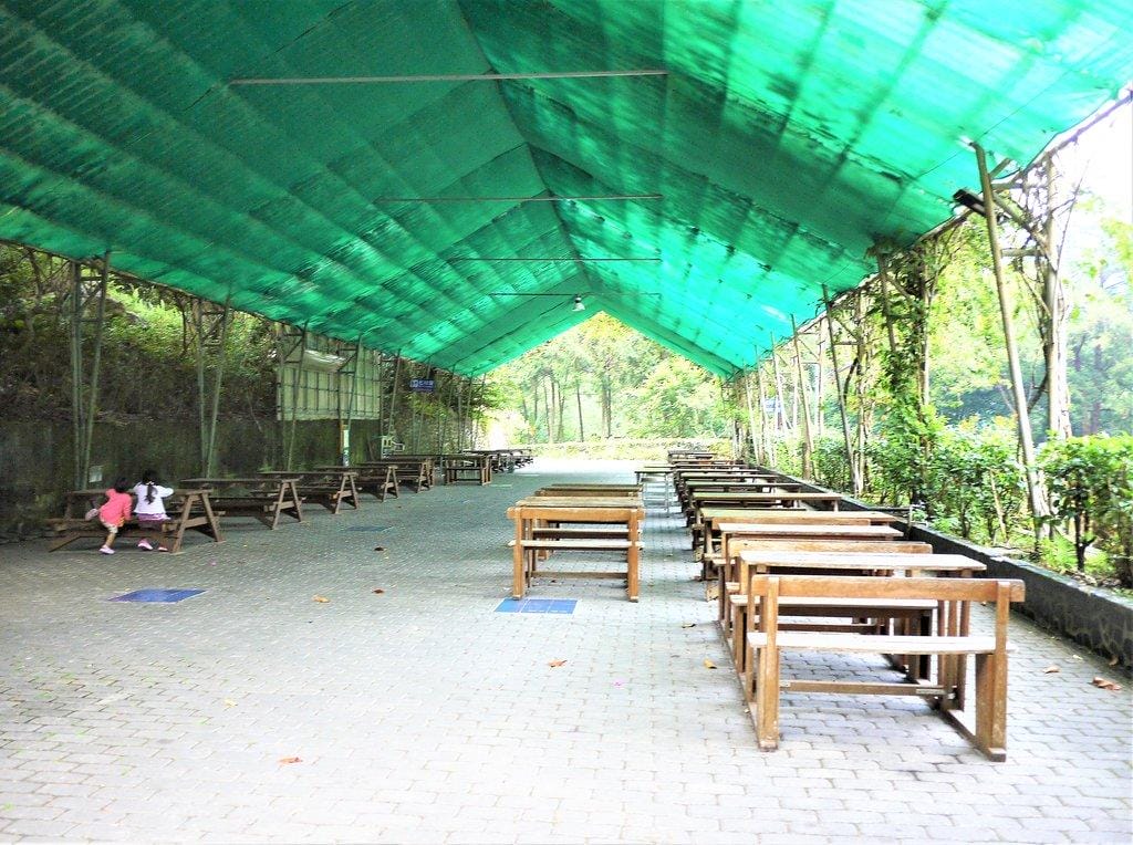 【谷關民宿】台中八仙山莊.一泊二食,渡假小木屋,呼吸自然芬多精 / 八仙國家森林遊樂區 - 第35張圖 【谷關民宿】台中八仙山莊.一泊二食,渡假小木屋,呼吸自然芬多精 / 八仙國家森林遊樂區