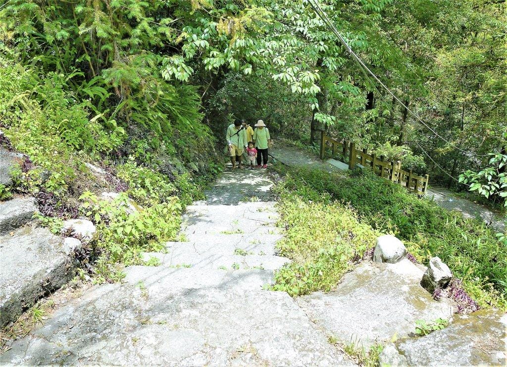 【谷關民宿】台中八仙山莊.一泊二食,渡假小木屋,呼吸自然芬多精 / 八仙國家森林遊樂區 - 第75張圖 【谷關民宿】台中八仙山莊.一泊二食,渡假小木屋,呼吸自然芬多精 / 八仙國家森林遊樂區