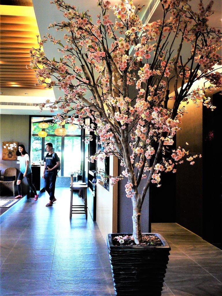 宜蘭礁溪【波卡拉渡假會館】徜徉在田間之中 / 民宿包棟 / 小木屋住宿.宜蘭二日遊(影音介紹) - 第44張圖 宜蘭礁溪【波卡拉渡假會館】徜徉在田間之中 / 民宿包棟 / 小木屋住宿.宜蘭二日遊(影音介紹)