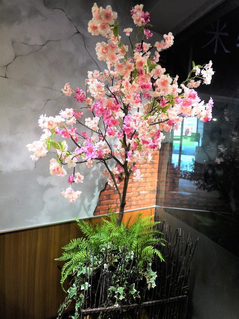 【永和美食】老食仁食尚料理 創意功夫菜 / 媽媽的味道 / 外省家鄉菜,永安市場美食 - 第13張圖 【永和美食】老食仁食尚料理 創意功夫菜 / 媽媽的味道 / 外省家鄉菜,永安市場美食
