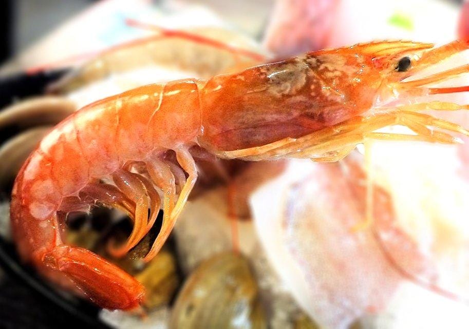 【食記】千荷田日式涮涮鍋 新鮮海陸食材 / 台北高CP值火鍋推薦 / 捷運美食 - 第22張圖 【食記】千荷田日式涮涮鍋 新鮮海陸食材 / 台北高CP值火鍋推薦 / 捷運美食