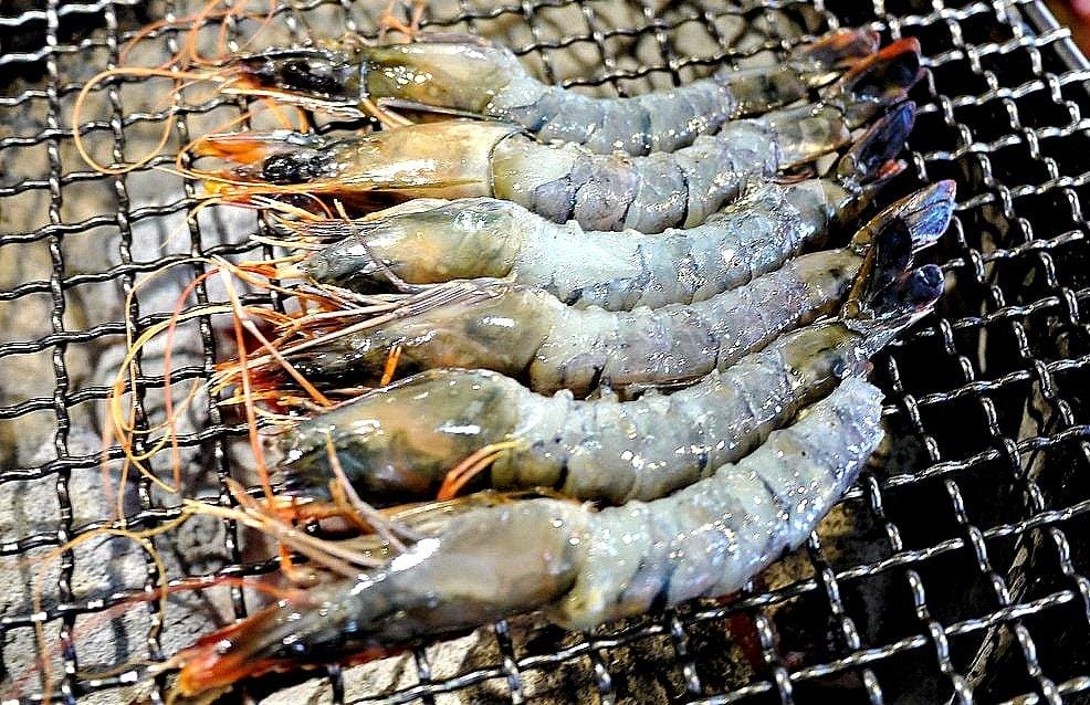 【食記】胖肚肚燒肉吃到飽 慶生聚餐的好地方!近捷運南京三民站 / 京華城旁