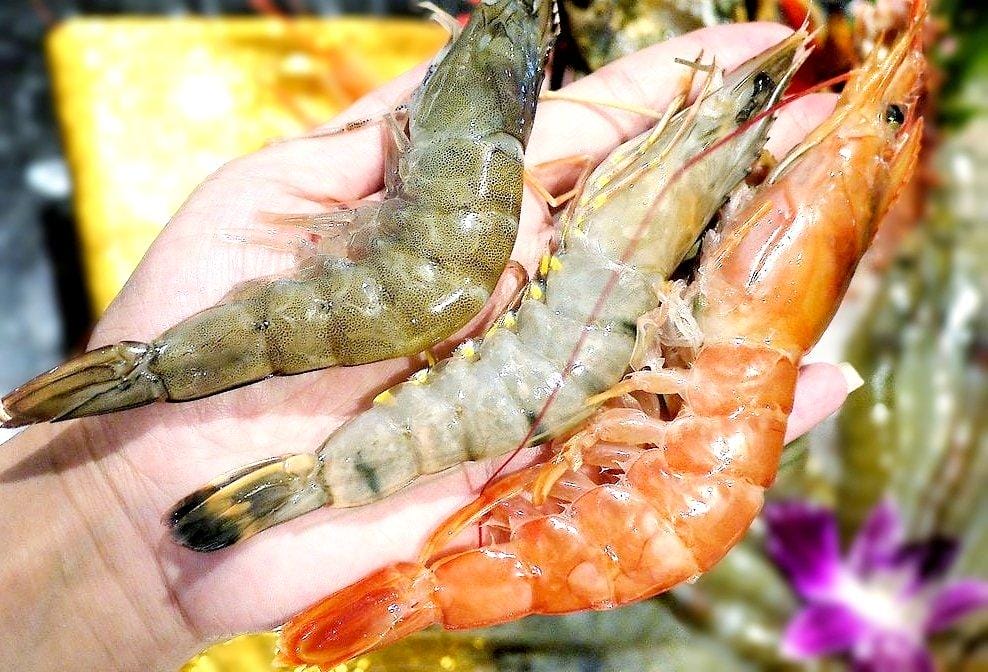 【永春站火鍋推薦】小鮮肉涮涮屋 頂級肉品 / 海鮮 . 超狂超澎湃 “蝦”爆了雙人海鮮套餐 - 第25張圖 【永春站火鍋推薦】小鮮肉涮涮屋 頂級肉品 / 海鮮 . 超狂超澎湃 “蝦”爆了雙人海鮮套餐