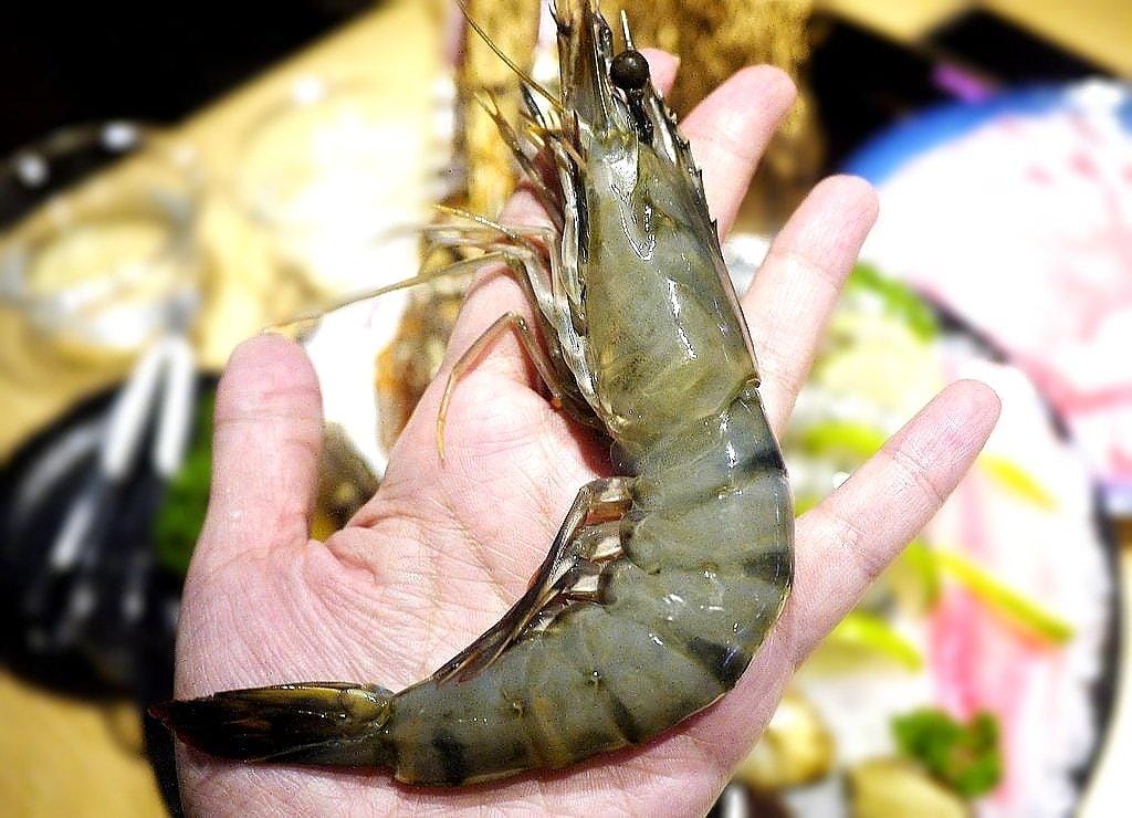 【板橋火鍋】鬼椒一番鍋 超滿足的雙人龍蝦海陸套餐 起司牛奶鍋~ 附菜單MENU - 第34張圖 【板橋火鍋】鬼椒一番鍋 超滿足的雙人龍蝦海陸套餐 起司牛奶鍋~ 附菜單MENU