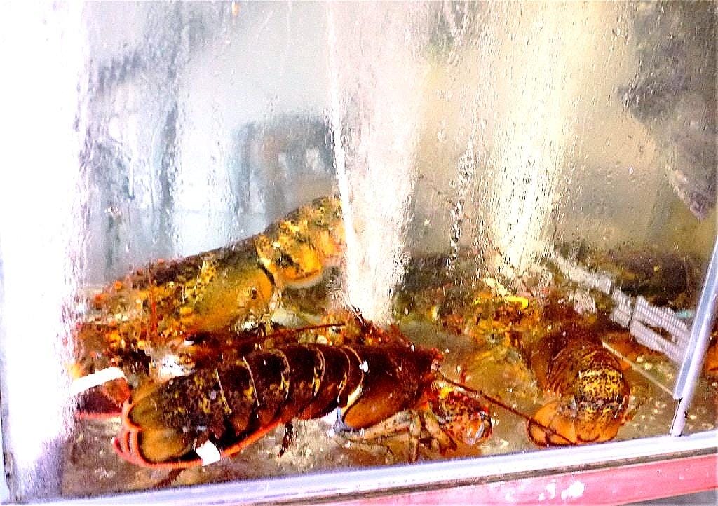 【東湖海鮮餐廳】 蒸霸王蒸氣火鍋-東湖店 澎湃海鮮塔.吃的到新鮮海鮮原味 / 海鮮餐廳/ - 第6張圖 【東湖海鮮餐廳】 蒸霸王蒸氣火鍋-東湖店 澎湃海鮮塔.吃的到新鮮海鮮原味 / 海鮮餐廳/
