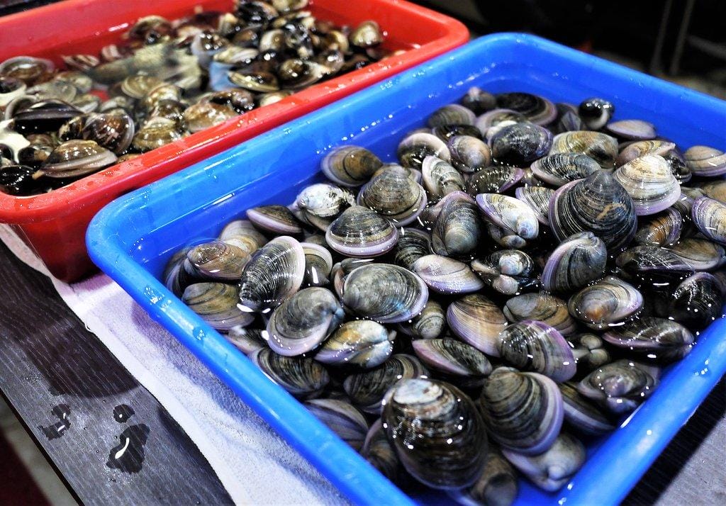 【東湖海鮮餐廳】 蒸霸王蒸氣火鍋-東湖店 澎湃海鮮塔.吃的到新鮮海鮮原味 / 海鮮餐廳/ - 第10張圖 【東湖海鮮餐廳】 蒸霸王蒸氣火鍋-東湖店 澎湃海鮮塔.吃的到新鮮海鮮原味 / 海鮮餐廳/